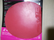 IMG-20200313-192846.jpg